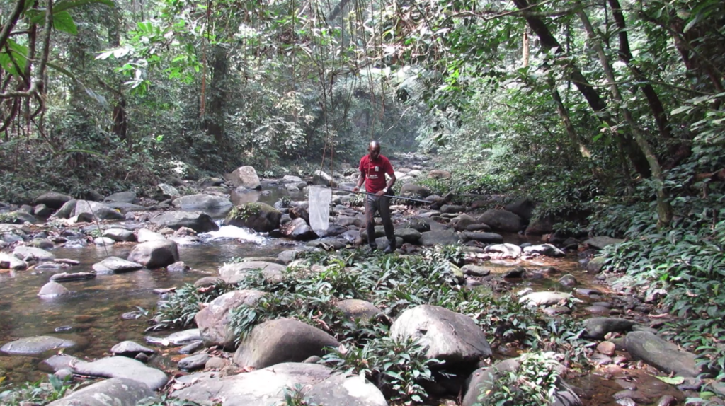 L’attribut alt de cette image est vide, son nom de fichier est Terrain-Ojonugwa-Ekpah_protocole-Cross-River-National-Park-1-1024x574.png.