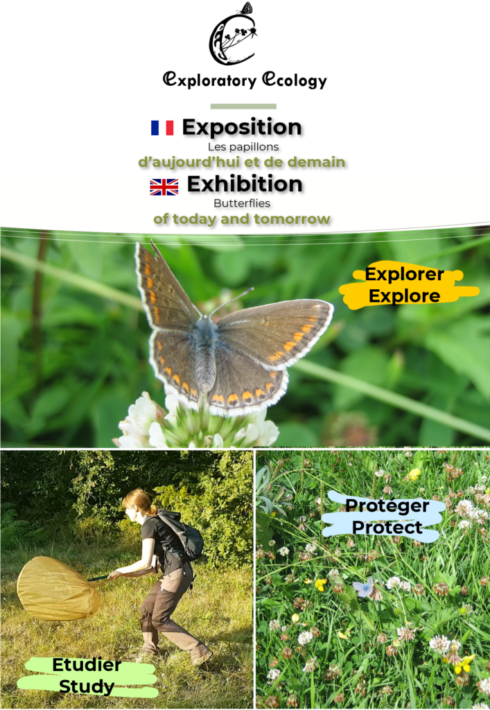 L’attribut alt de cette image est vide, son nom de fichier est exposition-1-707x1024.png.