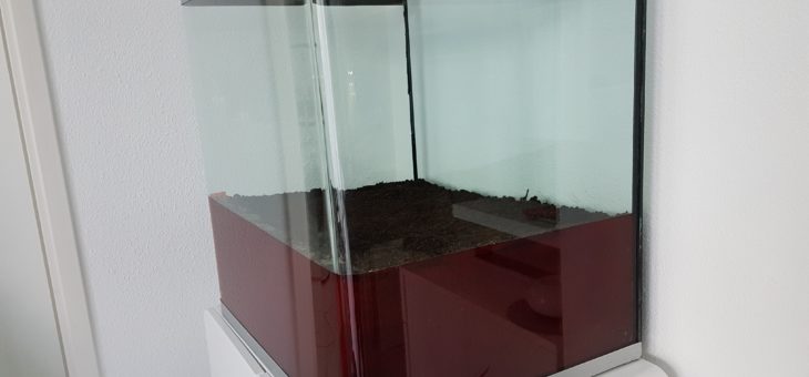 6ème étape de mise en place du laboratoire