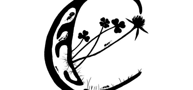 Logo officiel d’Exploratory Ecology