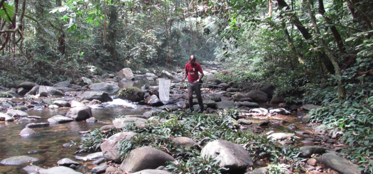 Observation field of butterflies in Nigeria