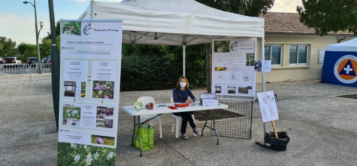 Association Forum of Saint-Aubin de Médoc (France)