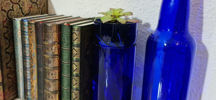 Projet boutique de recyclage des bouteilles en verre