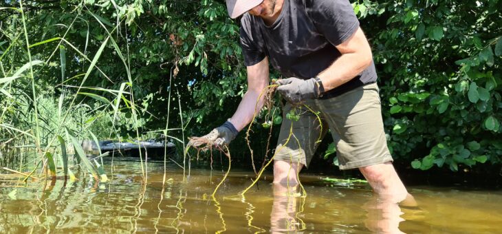 Agir pour protéger les milieux aquatiques