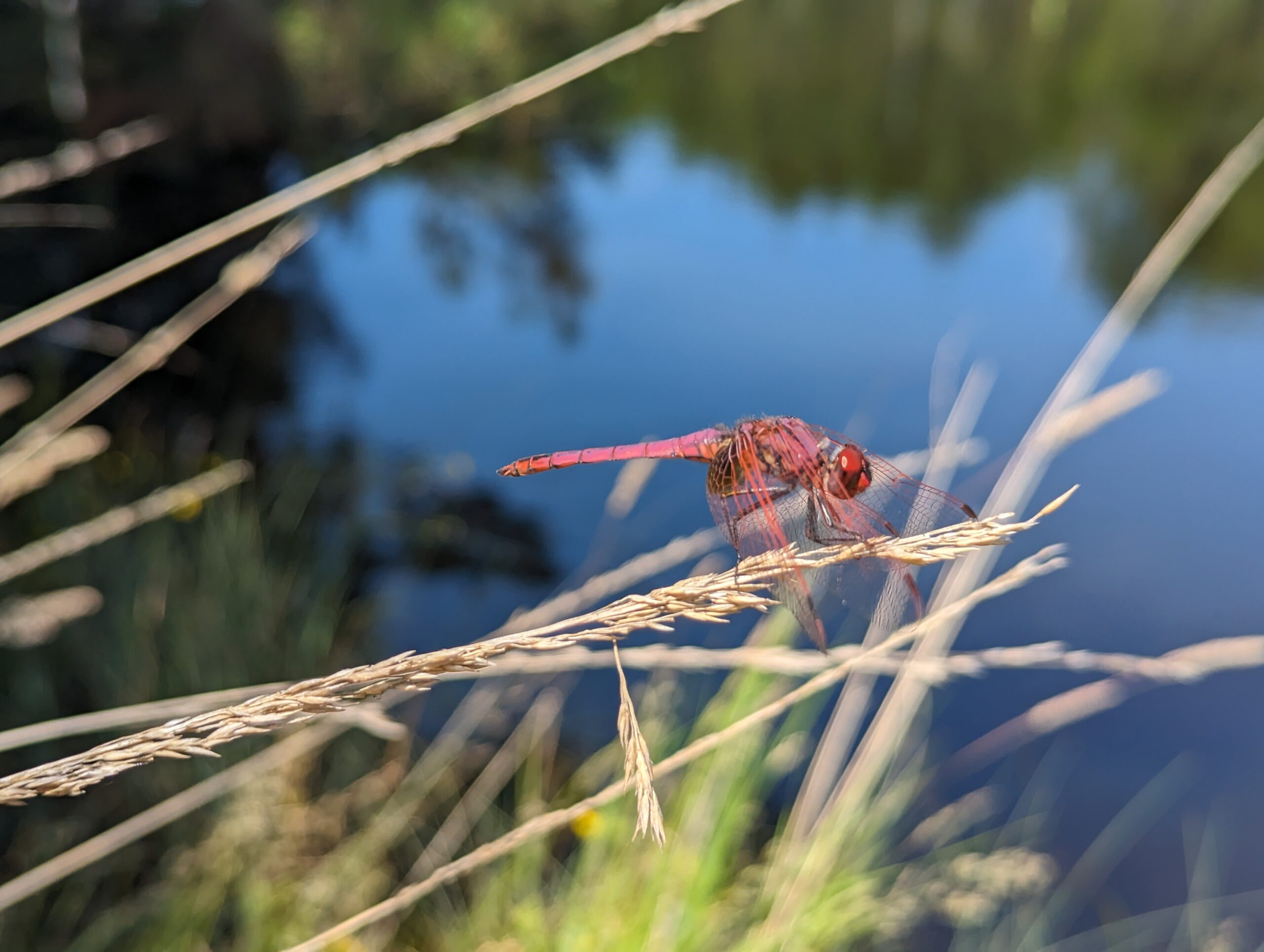 Nature outing by boat Exploratory Ecology