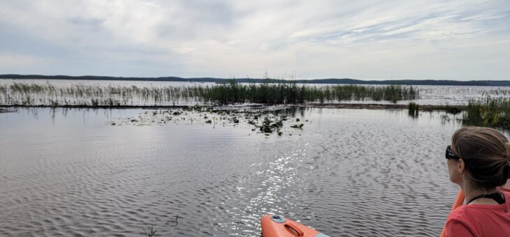 Nature outing in paddle