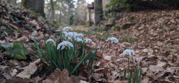 Aider les abeilles en hiver