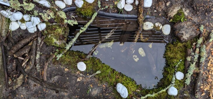 Guide de création d&rsquo;une minimare dans son jardin